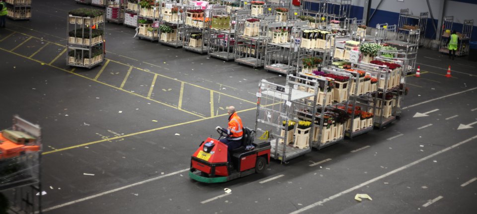 FloraHolland verkoopt 154 miljoen bloemen in drie dagen - Nieuwe Oogst