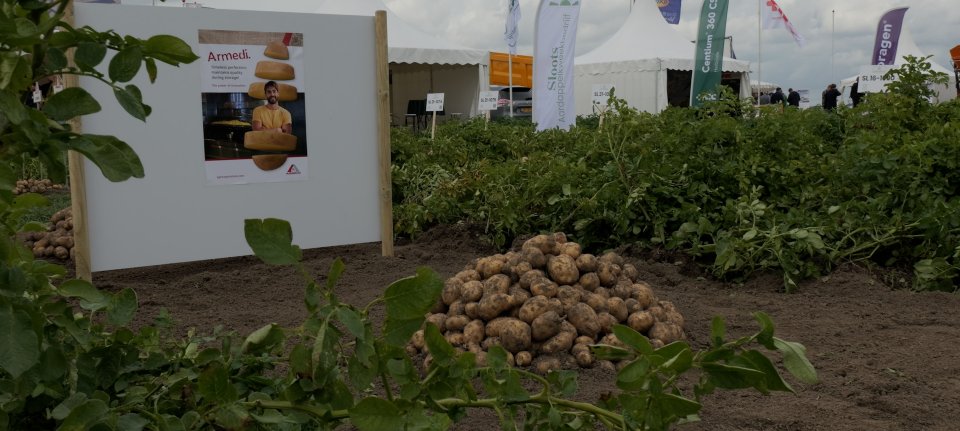 Aardappeldemodag toont nieuwste innovaties en technieken