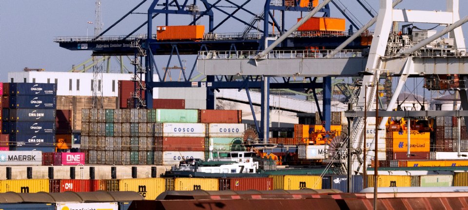 Hollanda'ya Soğutmalı Konteynerlerle Yaş Meyve ve Sebze Girişi Arttı