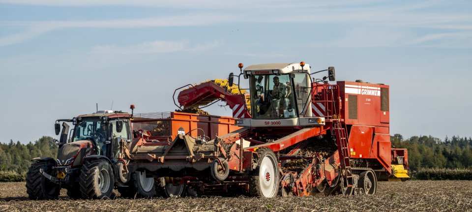 VTA verwacht aardappelopbrengst van 46,3 ton - Nieuwe Oogst